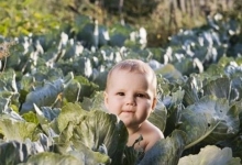 позашлюбна народжуваність